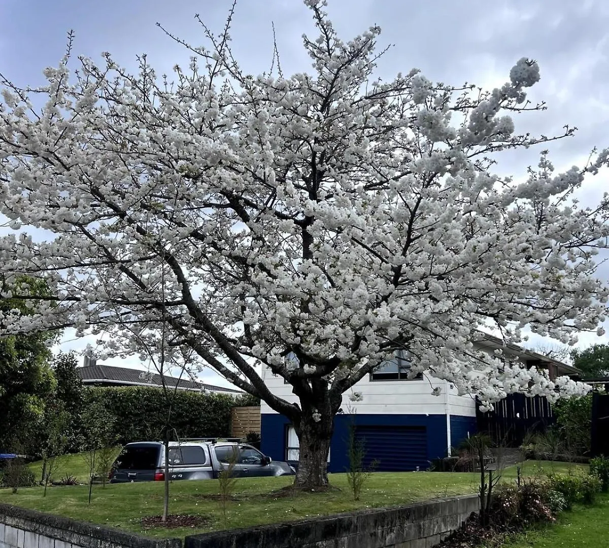 Modern Holiday Home With Spa - Great For Families & Dogs Taupo New Zealand