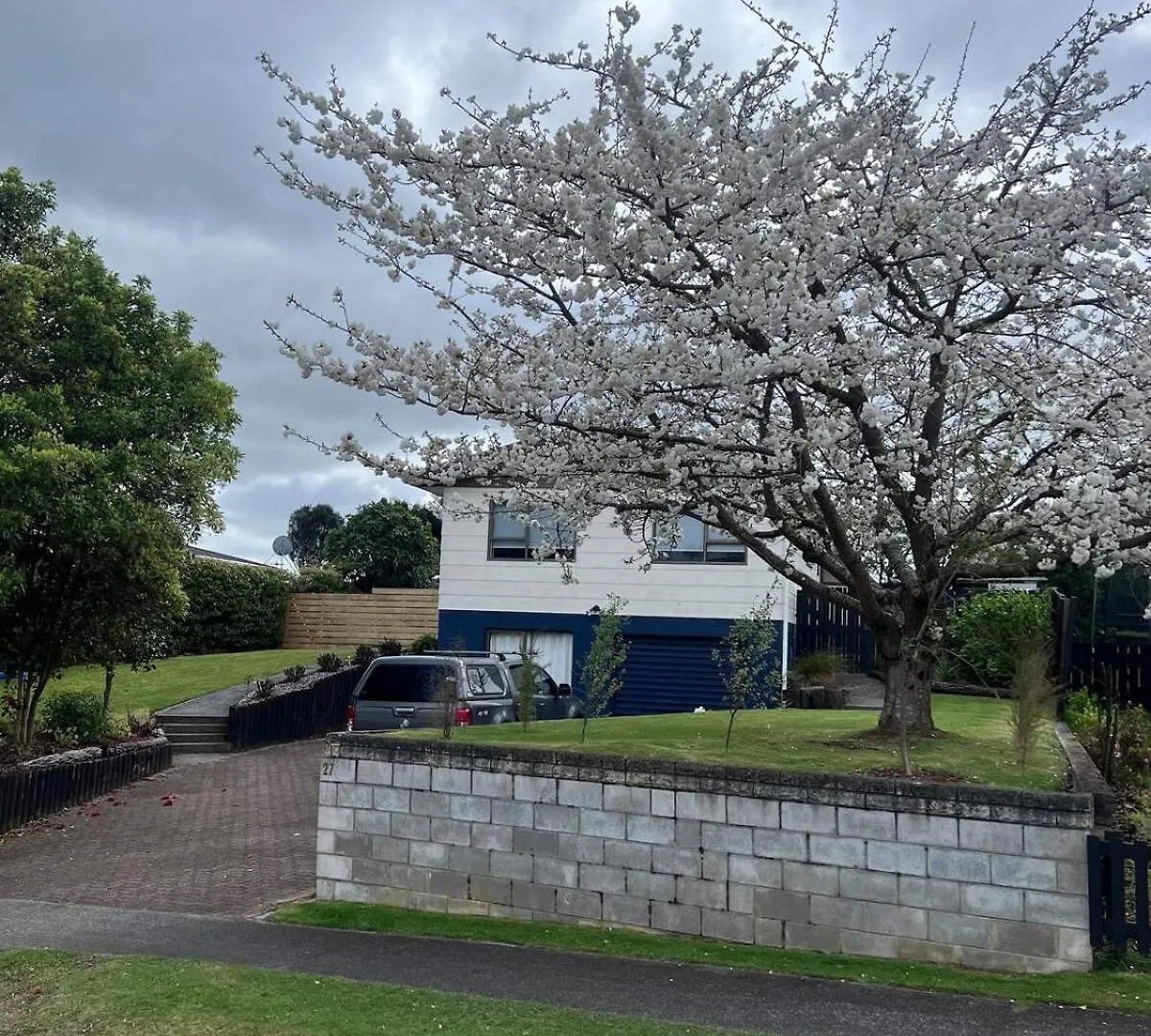 Modern Holiday Home With Spa - Great For Families & Dogs Taupo 0*,  New Zealand